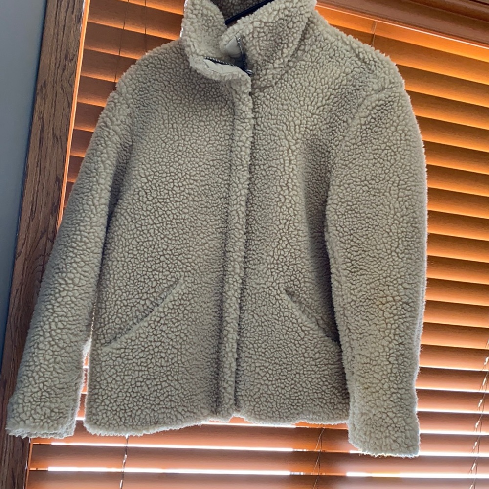 H&M teddy coat